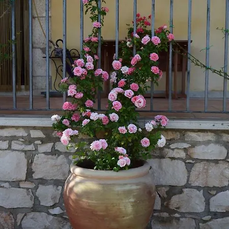 Bed & Breakfast Il Flauto Magico Modica